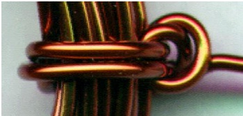 pmmc5